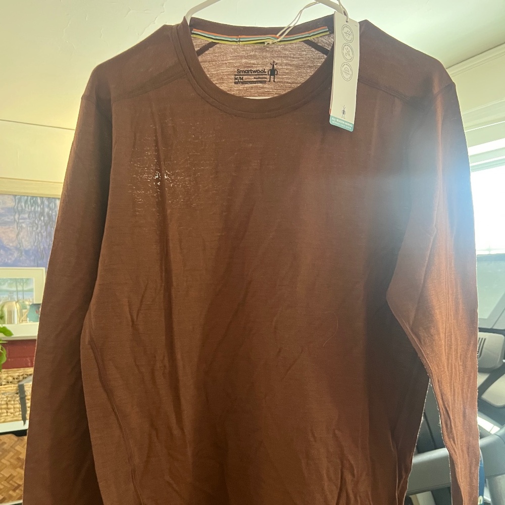 Men's Classic All-Season Merino Base Layer Crew Sable Brown